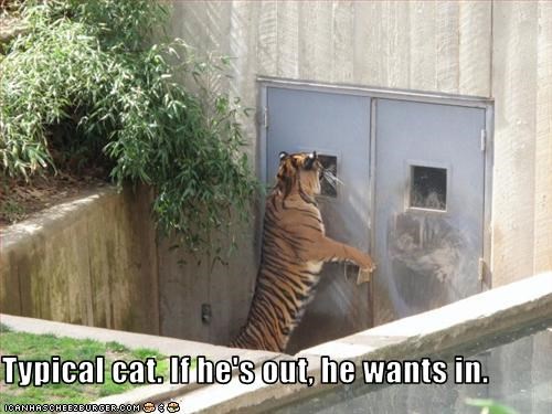 Typical cat. If he's out, he wants in.