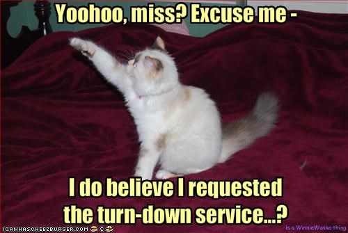 Yoohoo, miss? Excuse me -