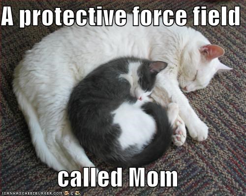 A protective force field  called Mom