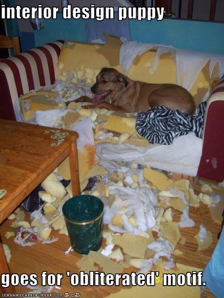 interior design puppy  goes for 'obliterated' motif.