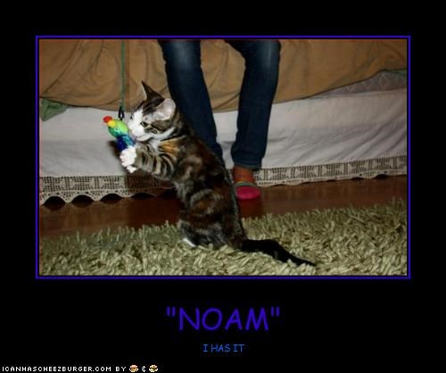 "NOAM"