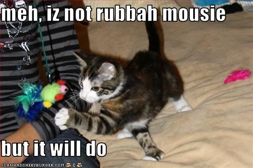meh, iz not rubbah mousie  but it will do