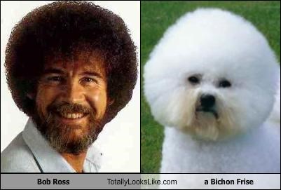 Bob Ross Totally Looks Like a Bichon Frise