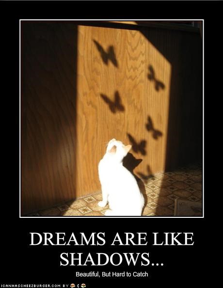 DREAMS ARE LIKE SHADOWS...