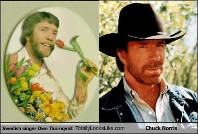 Swedish singer Owe Thornqvist Totally Looks Like Chuck Norris
