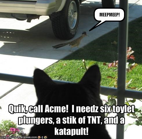 Quik, call Acme!  I needz six toylet plungers, a stik of TNT, and a katapult!