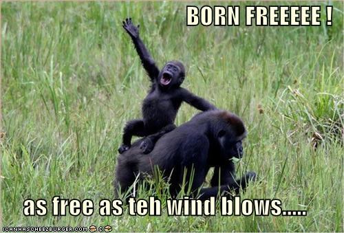 BORN FREEEEE !  as free as teh wind blows.....