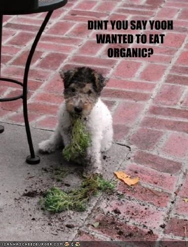 DINT YOU SAY YOOH WANTED TO EAT ORGANIC?