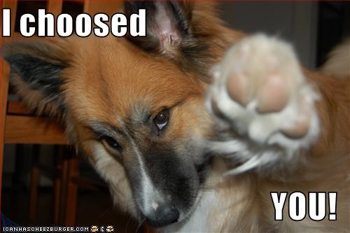 I choosed  YOU!
