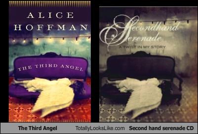 The Third Angel Totally Looks Like Second hand serenade CD