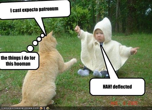I cast expecto patronum