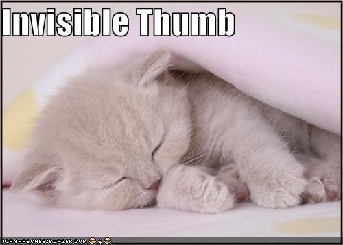 Invisible Thumb