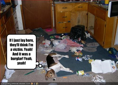 If I just lay here, they'll think I'm a victim. Yeah! And it was a burglar! Yeah, yeah!