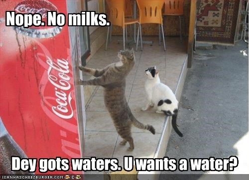 Nope. No milks.