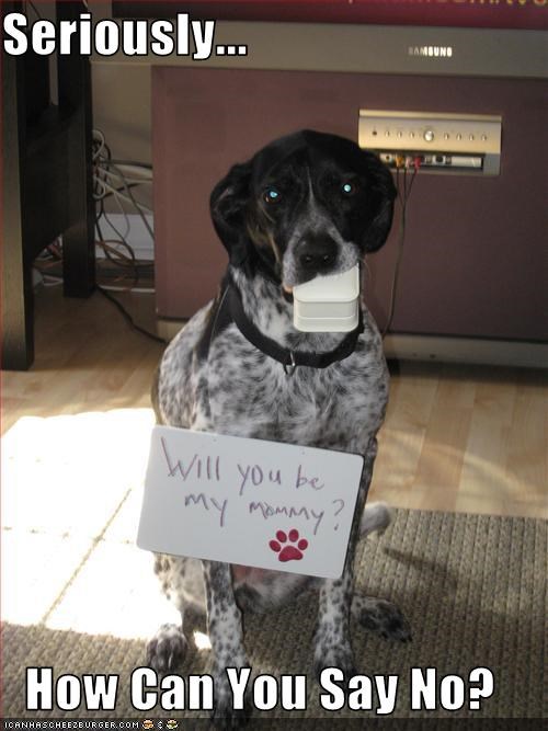 Seriously...  How Can You Say No?