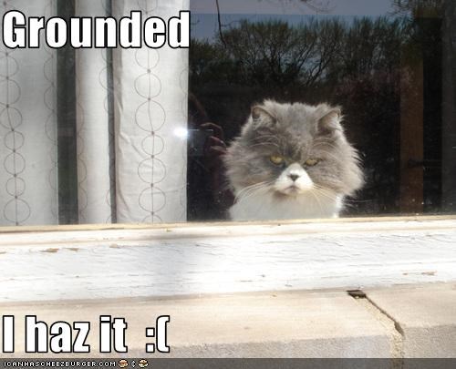 Grounded  I haz it  :(