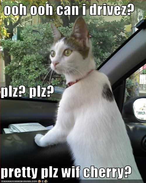 ooh ooh can i drivez? plz? plz? pretty plz wif cherry?