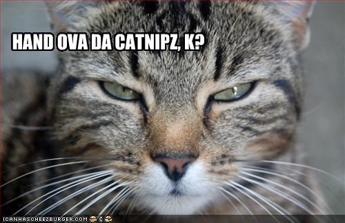 HAND OVA DA CATNIPZ, K?