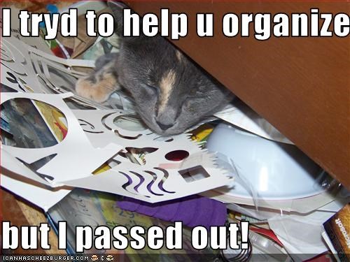 I tryd to help u organize  but I passed out!