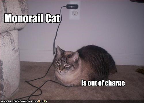 Monorail Cat