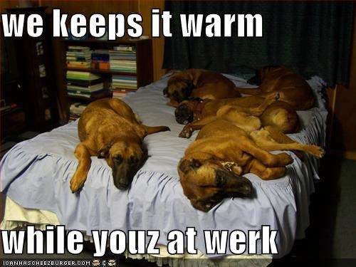 we keeps it warm  while youz at werk