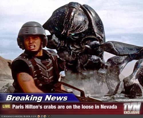 Breaking News - Paris Hilton's crabs are on the loose in Nevada