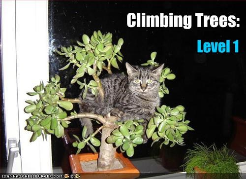 Climbing Trees: