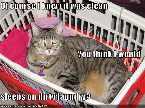 Of course I knew it was clean You think I would sleeps on dirty laundry?