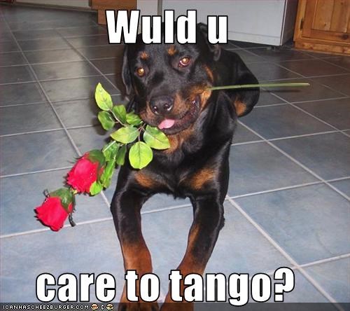 Wuld u  care to tango?