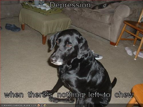 Depression  when there's nothing left to chew