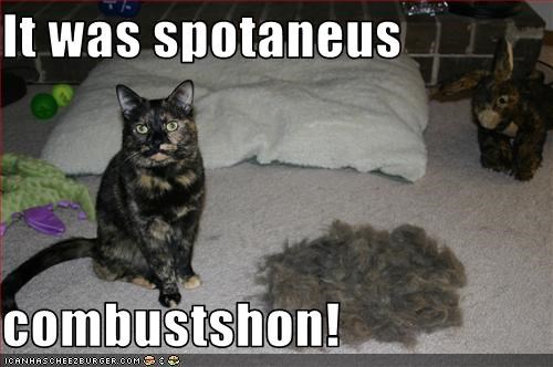 It was spotaneus   combustshon!