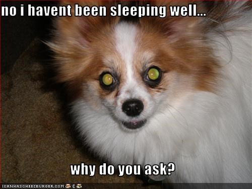 no i havent been sleeping well...  why do you ask?