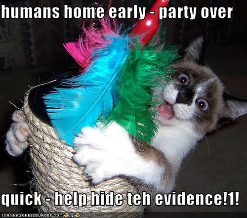 humans home early - party over  quick - help hide teh evidence!1!