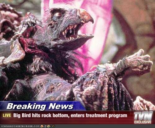 Breaking News - Big Bird hits rock bottom, enters treatment program