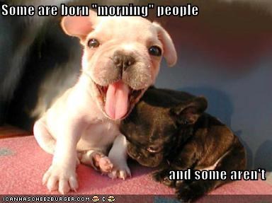 Some are born "morning" people  and some aren't