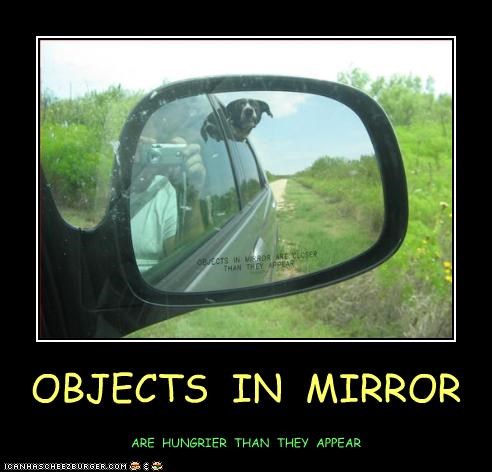 OBJECTS  IN  MIRROR