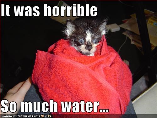 It was horrible  So much water...