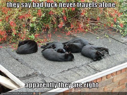 they say bad luck never travels alone  apparently they are right