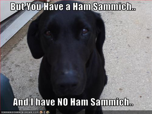 But You Have a Ham Sammich..  And I have NO Ham Sammich..