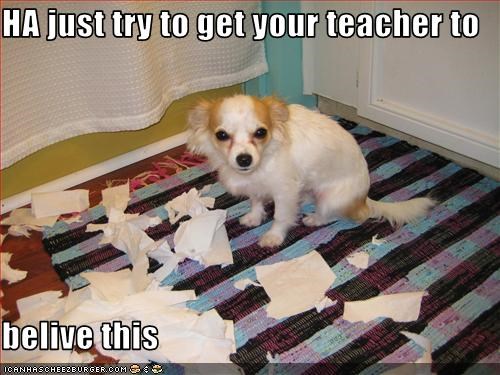 HA just try to get your teacher to   belive this