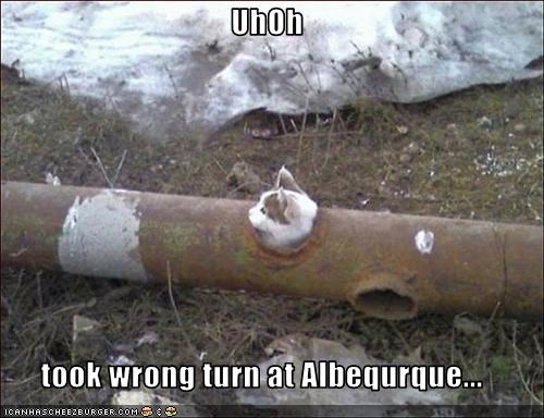 UhOh  took wrong turn at Albequrque...
