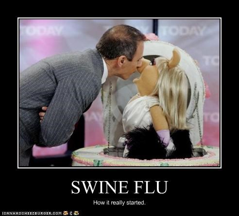 SWINE FLU