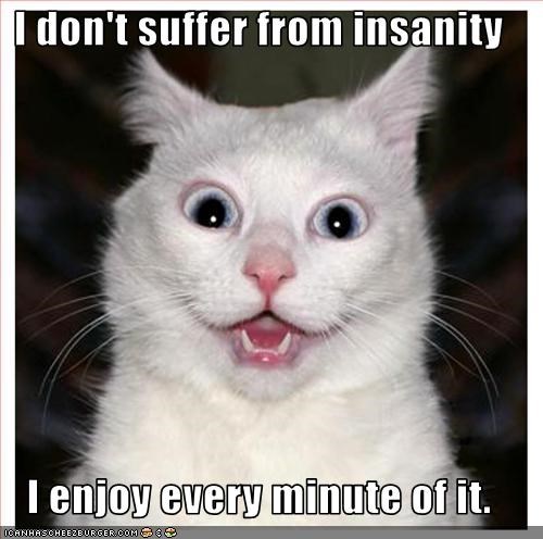I don't suffer from insanity  I enjoy every minute of it.