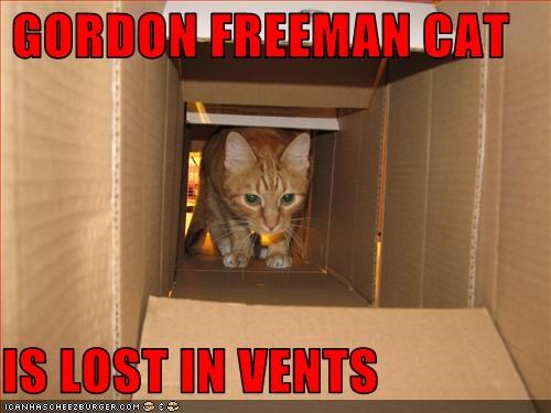 GORDON FREEMAN CAT  IS LOST IN VENTS