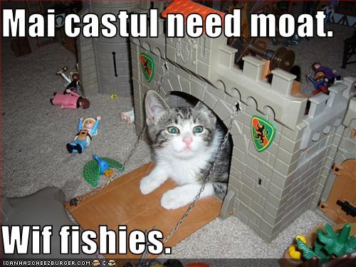 Mai castul need moat.  Wif fishies.