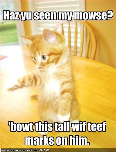 Haz yu seen my mowse?