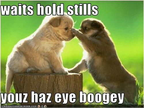 waits hold stills  youz haz eye boogey