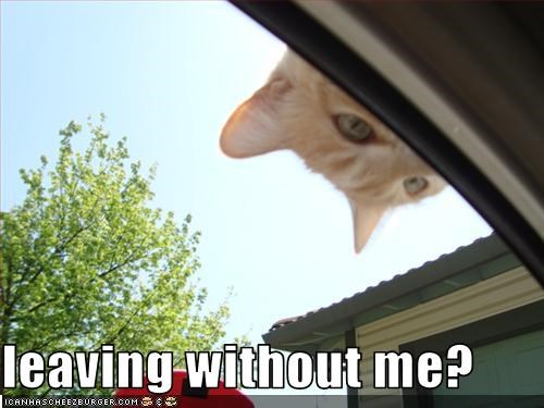 leaving without me?