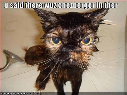u said there wuz chezberger in ther