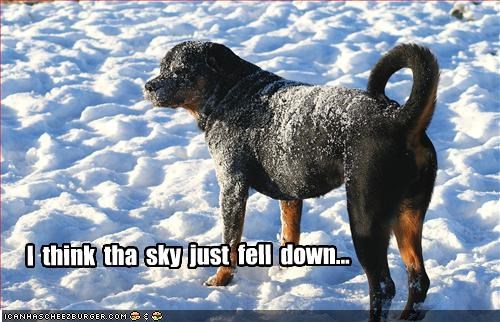 I  think  tha  sky  just  fell  down...
